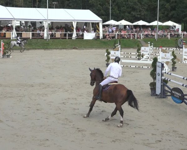 Reitturnier Bergisch Gladbach - Hebborner Hof 2023