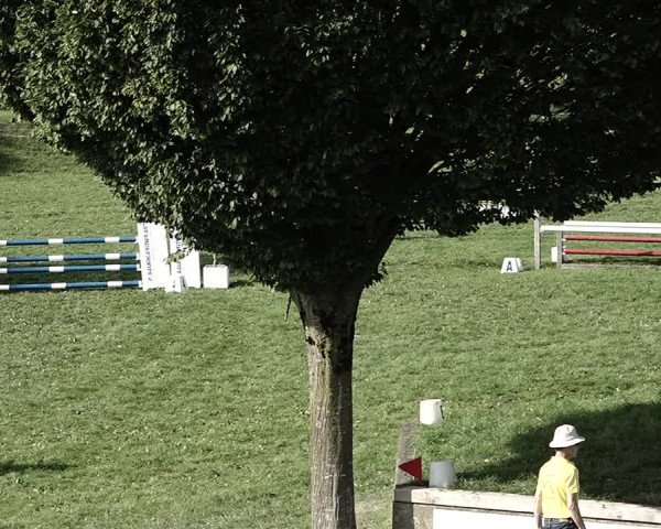 Reitturnier Aadorf 2023