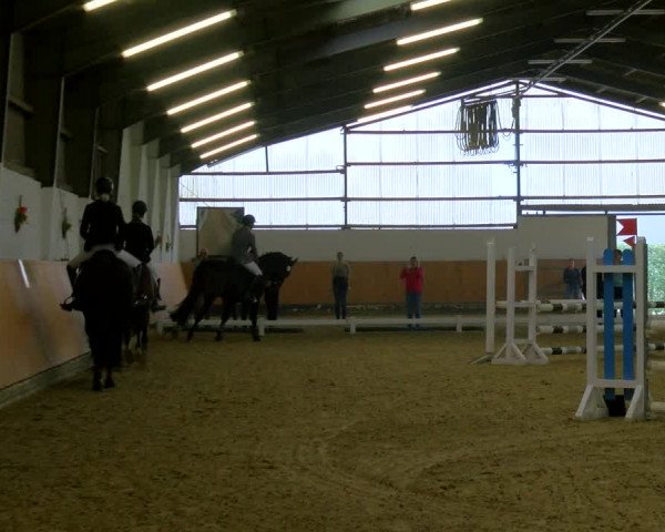 Reitturnier Datteln 2023
