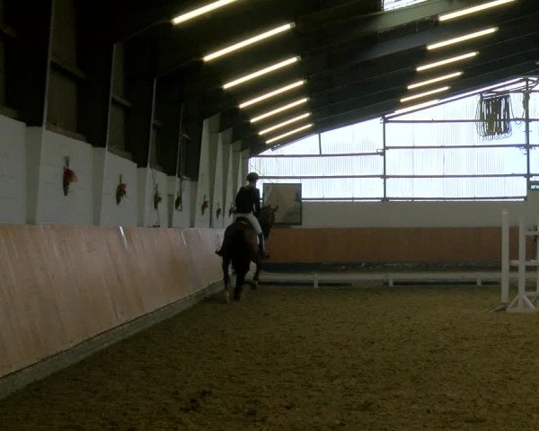 Reitturnier Datteln 2023