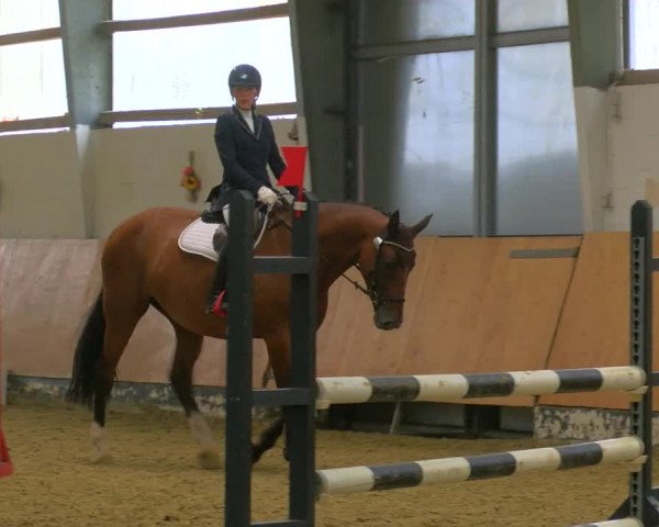 Reitturnier Datteln 2023