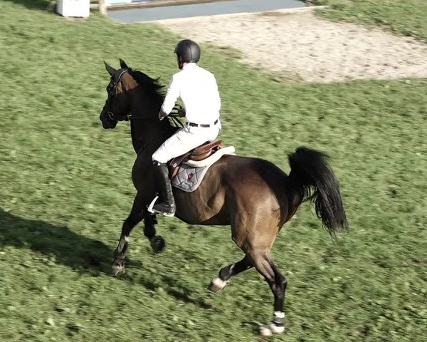 Reitturnier Aadorf 2023