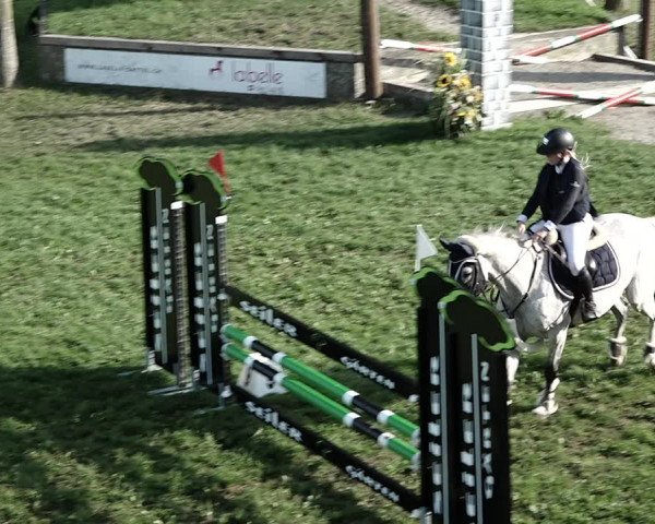 Reitturnier Aadorf 2023