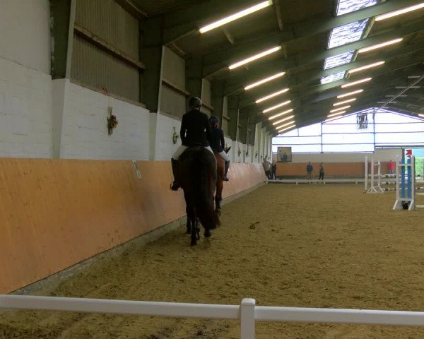Reitturnier Datteln 2023