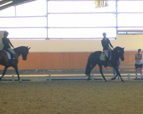 Reitturnier Datteln 2023