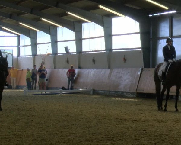 Reitturnier Datteln 2023