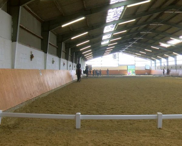 Reitturnier Datteln 2023