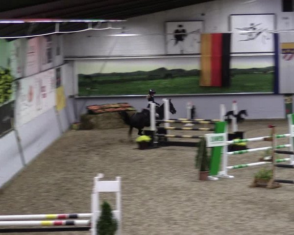 23. Legdener Ponymeeting 2021