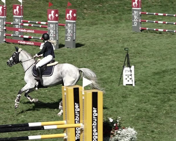 Reitturnier Aadorf 2023