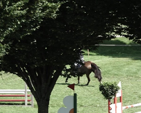 Reitturnier Aadorf 2023