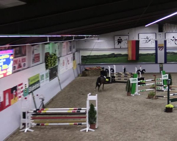 23. Legdener Ponymeeting 2021