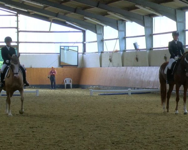 Reitturnier Datteln 2023