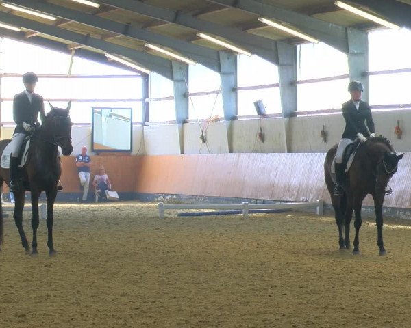 Reitturnier Datteln 2023
