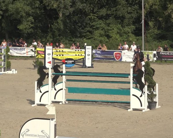 Reitturnier Bergisch Gladbach - Hebborner Hof 2023