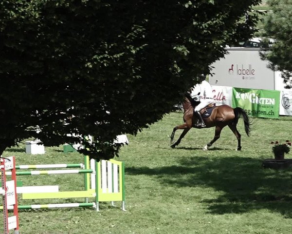 Reitturnier Aadorf 2023