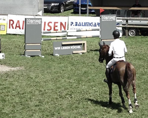 Reitturnier Aadorf 2023