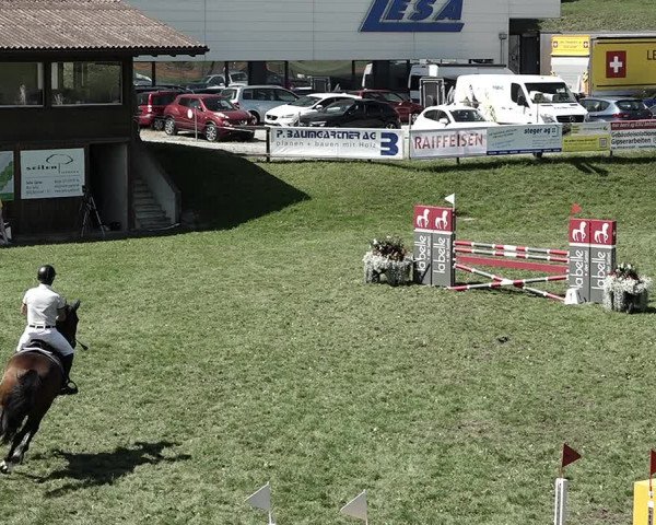 Reitturnier Aadorf 2023