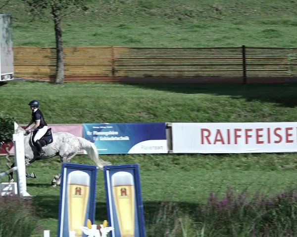 Reitturnier Aadorf 2023