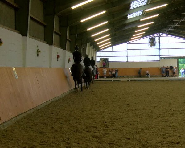 Reitturnier Datteln 2023