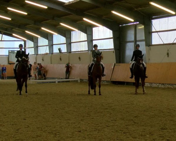 Reitturnier Datteln 2023