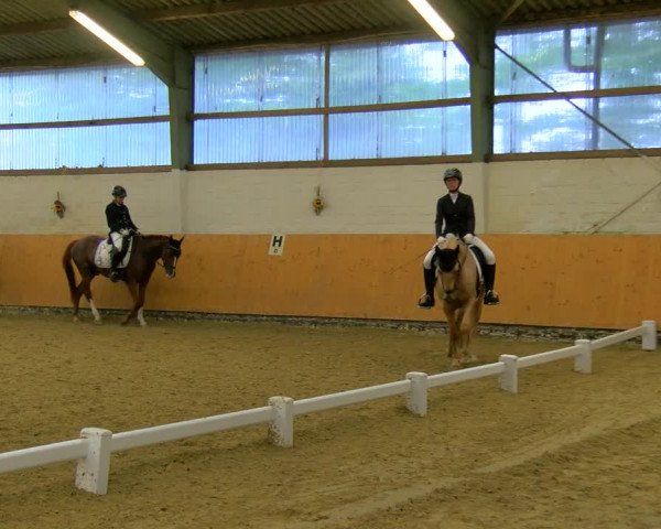 Reitturnier Datteln 2023