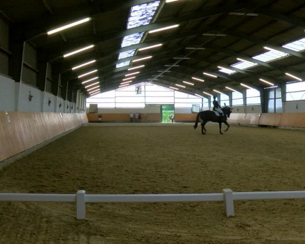 Reitturnier Datteln 2023