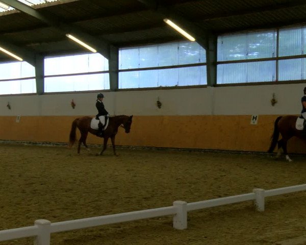 Reitturnier Datteln 2023