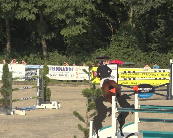 Reitturnier Bergisch Gladbach - Hebborner Hof 2023