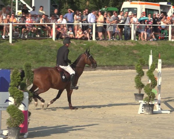 Reitturnier Bergisch Gladbach - Hebborner Hof 2023