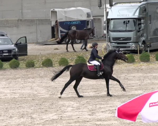 Reitturnier Basel Schänzli 2021