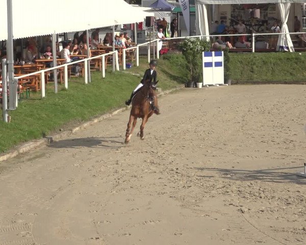 Reitturnier Bergisch Gladbach - Hebborner Hof 2023