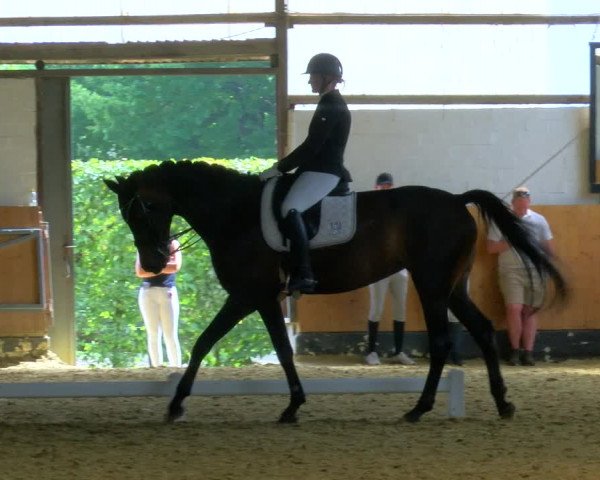 Reitturnier Datteln 2023