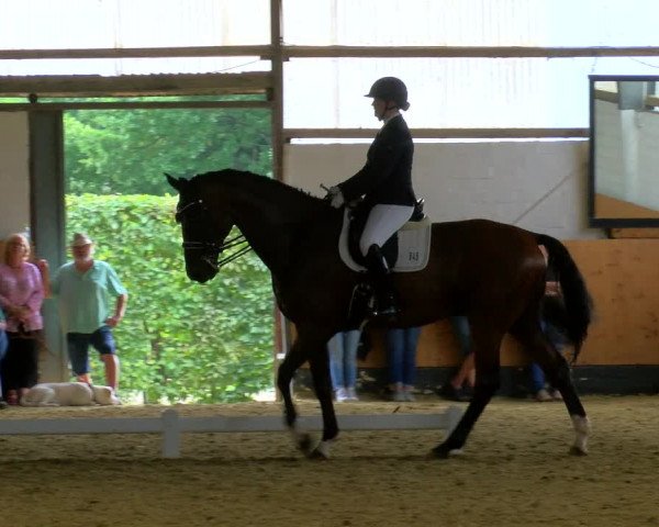 Reitturnier Datteln 2023