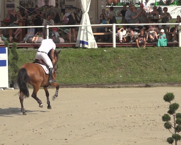 Reitturnier Bergisch Gladbach - Hebborner Hof 2023