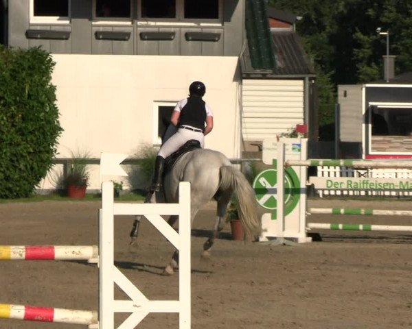 Reitturnier Datteln 2023