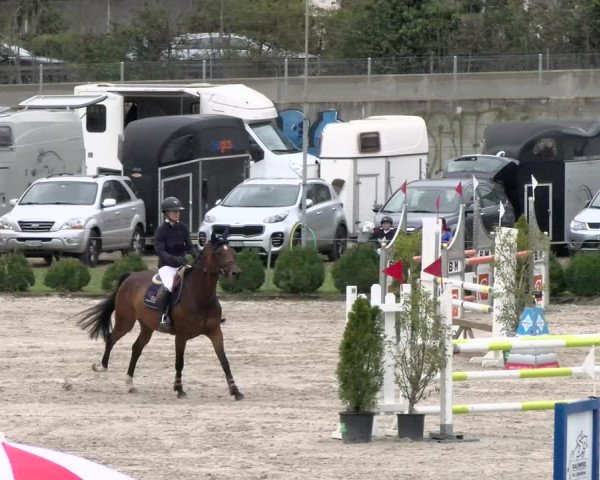 Reitturnier Basel Schänzli 2021