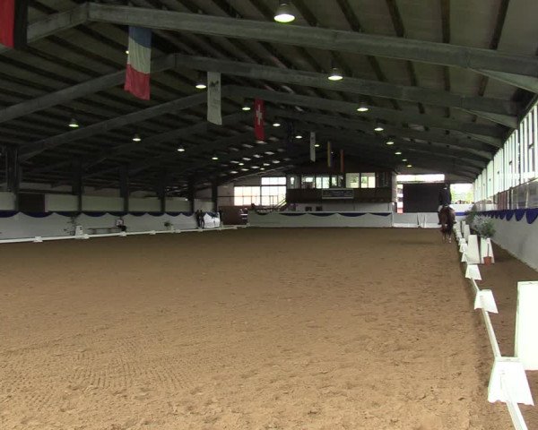 Reitturnier Münster-Albachten 2023