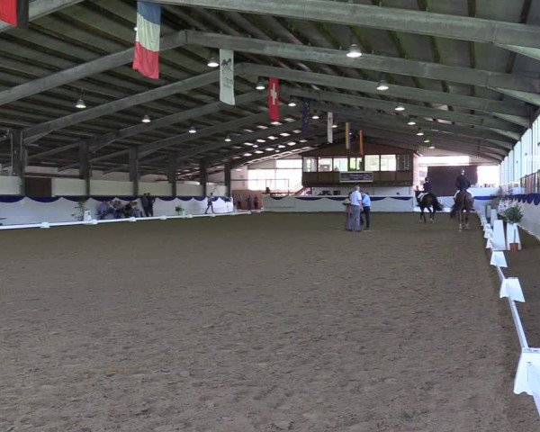 Reitturnier Münster-Albachten 2023