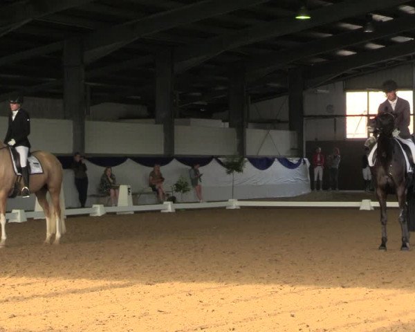 Reitturnier Münster-Albachten 2023