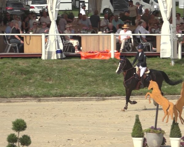 Reitturnier Bergisch Gladbach - Hebborner Hof 2023