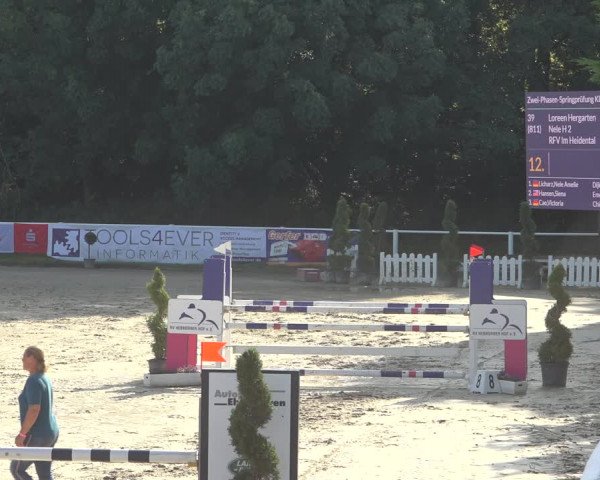 Reitturnier Bergisch Gladbach - Hebborner Hof 2023