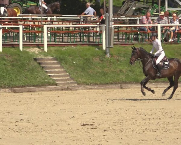 Reitturnier Bergisch Gladbach - Hebborner Hof 2023