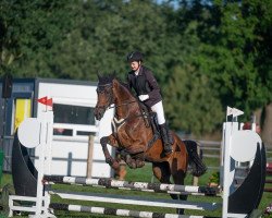 dressage horse Ramina 193 (Westphalian, 2008, from Rubitano)