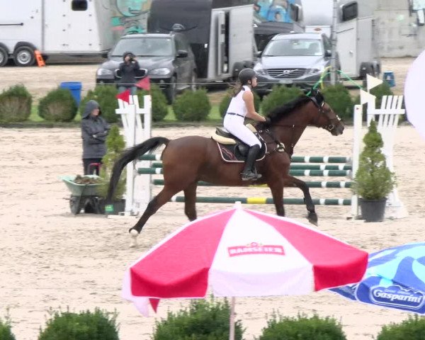 Reitturnier Basel Schänzli 2021