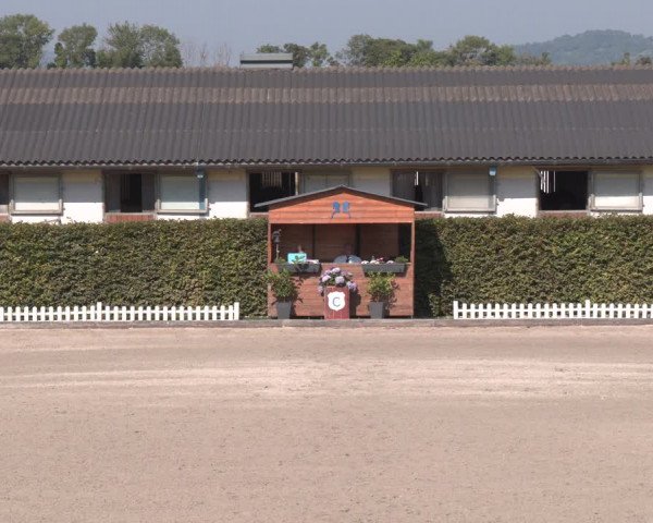 Reitturnier Gerasdorf bei Wien 2023