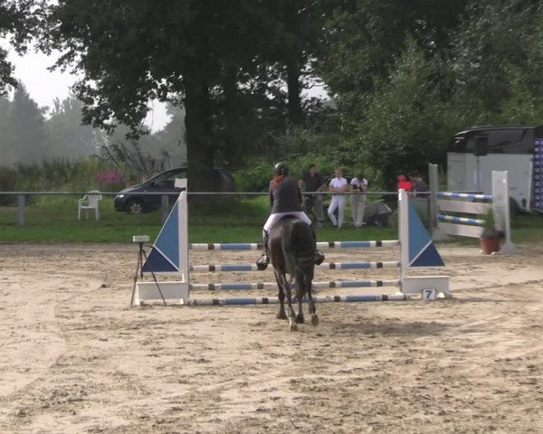 Reitturnier Datteln 2023