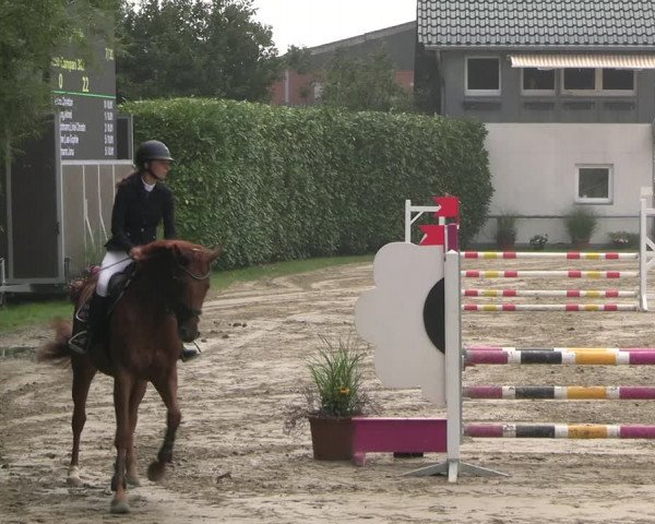 Reitturnier Datteln 2023