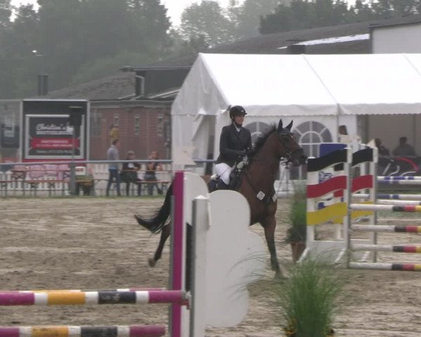 Reitturnier Datteln 2023
