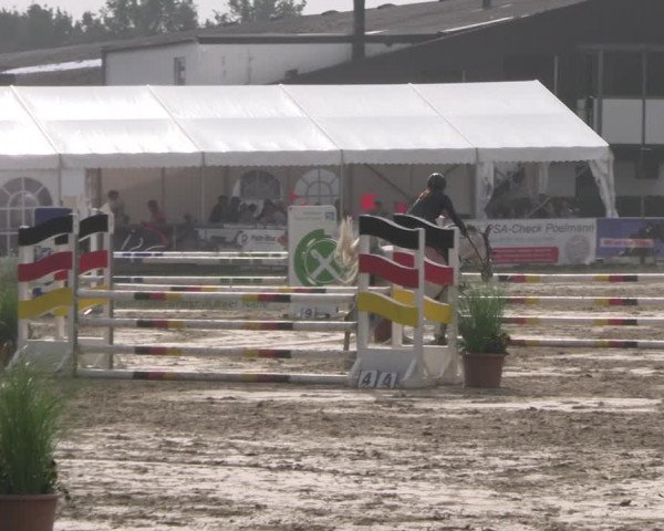 Reitturnier Datteln 2023