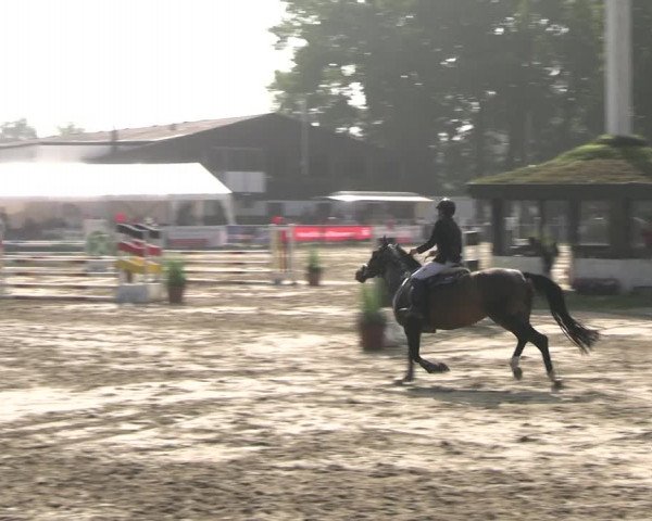 Reitturnier Datteln 2023